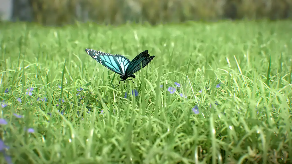 Film Rendering mit Schmetterling
