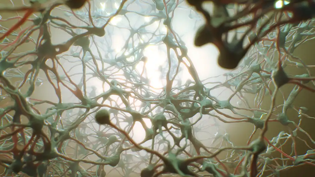 VFX Rendering von Neuronen