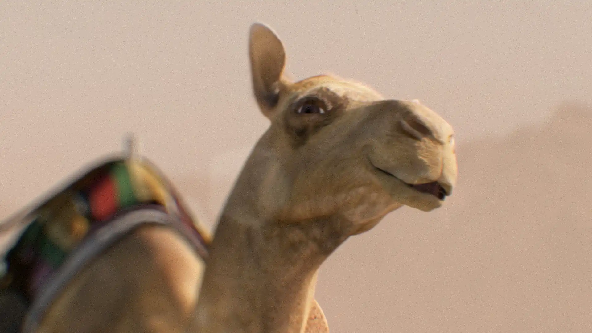 VFX Szene mit sprechendem Kamel